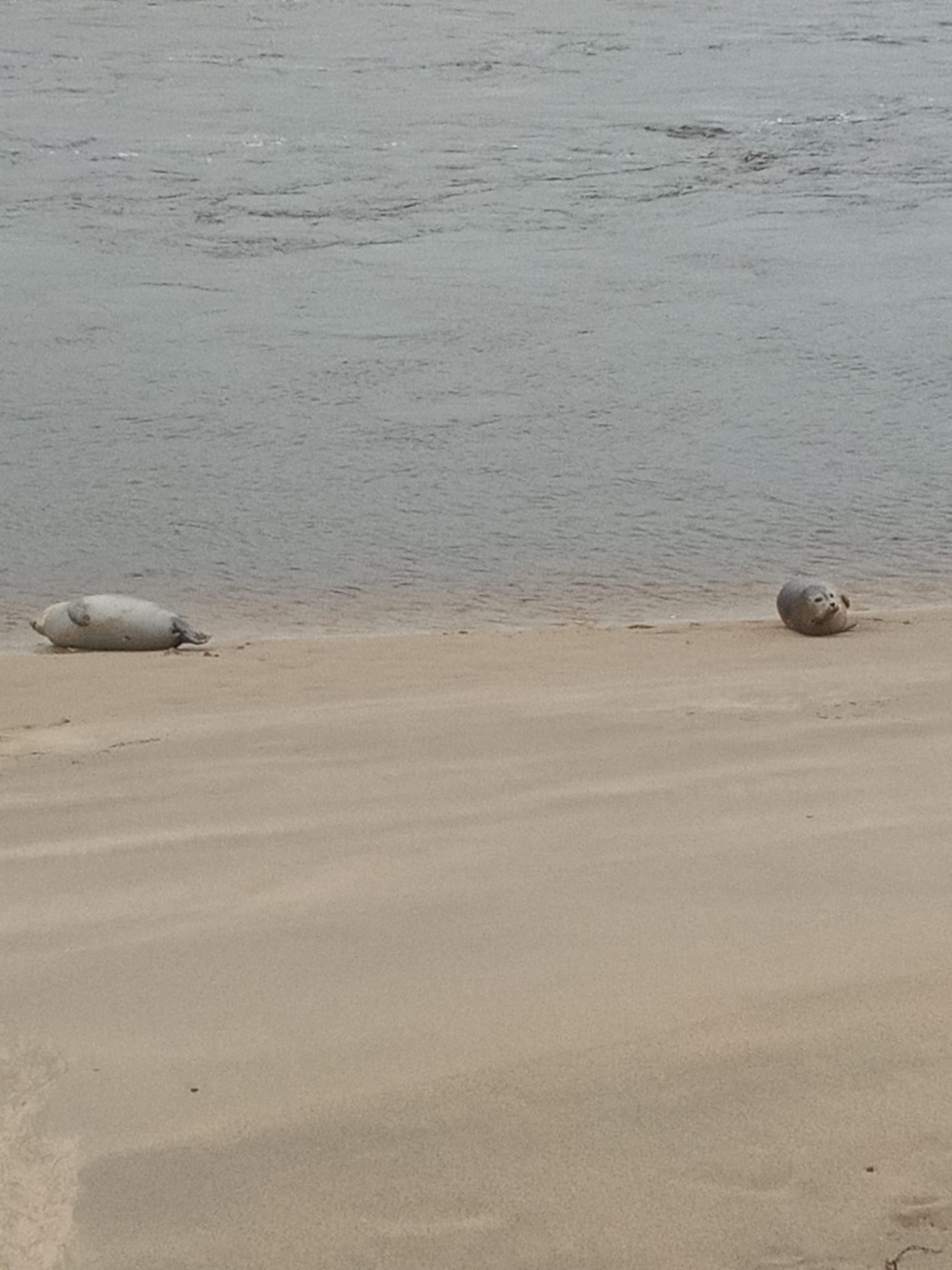 winterritten (26).jpg